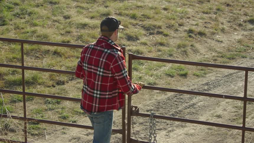 A young rancher unlocks and opens the gate to feed a large herd of bison in rural Montana