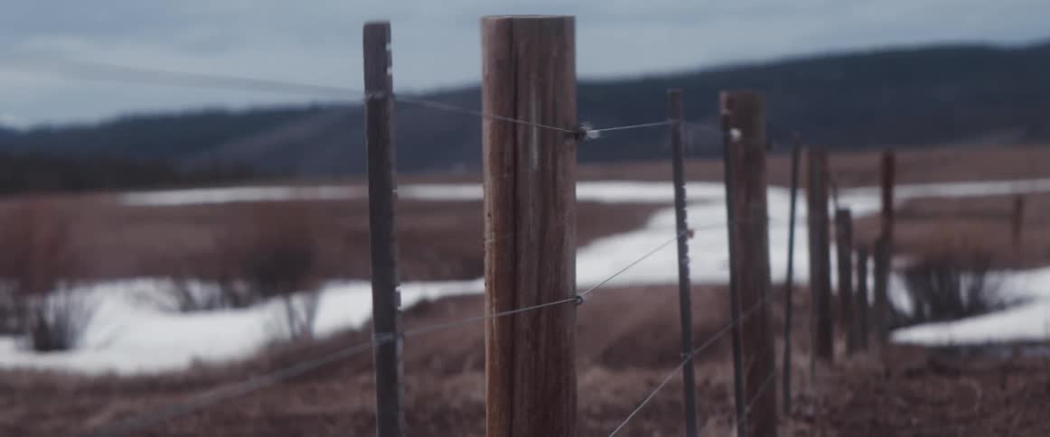 A wire fence runs across the field