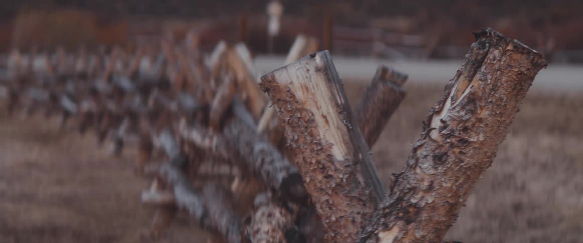 A wood log fence in a rural field