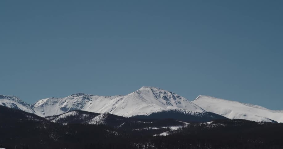 Dense conifer forest stretches onto foot of snow covered mountains under a clear blue sky