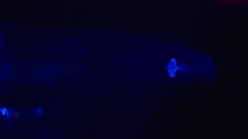 Electric blue moving shapes against a black background