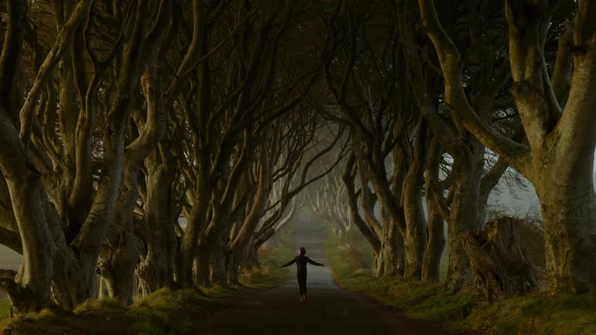 A child lost alone in a dark forest