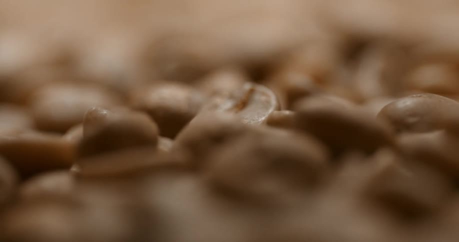 Close up of roasted coffee beans