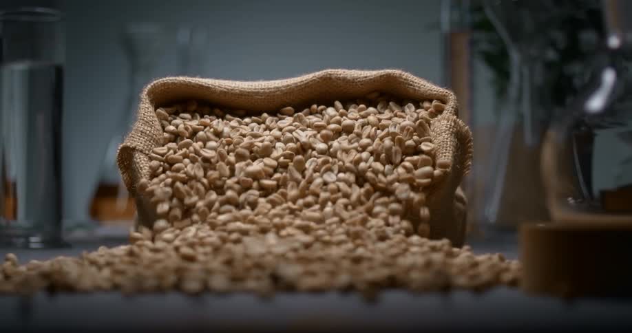 A bag of coffee beans falls and spills on the ground