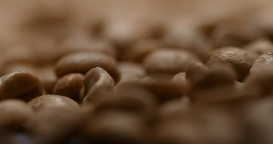 A room with coffee beans on the floor