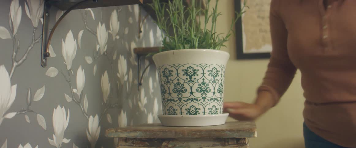 A woman in a room placing a potted plant on a table next to a wall with shelves