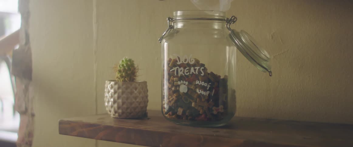A person in a room pouring food into a container on a shelf next to a cactus with a wall in the background