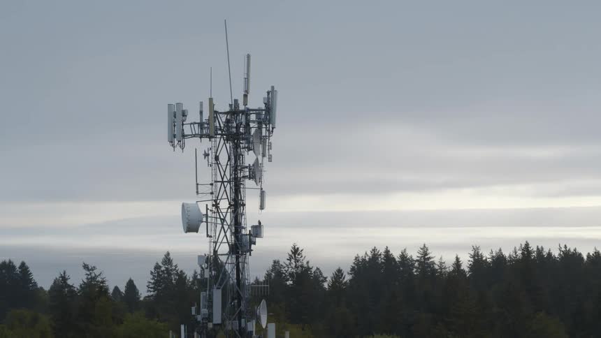 Revealing trees and homes that surround a cell site tower