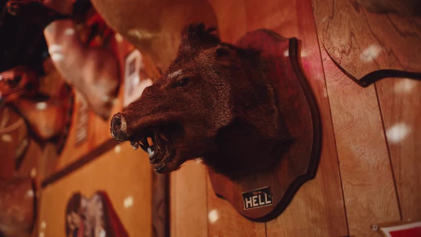 Small circular lights flash across a wooden wall covered with the mounted heads of dead animals