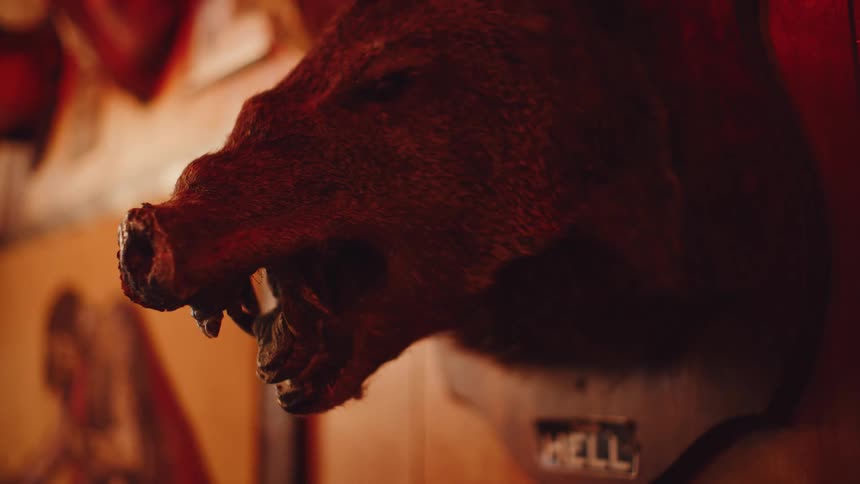 A animals head is displayed on a wall in statue form