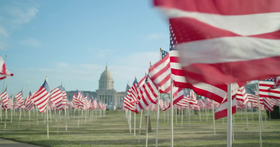 Dozens of American flags blow in the breeze in rows on the lawn of a capitol building