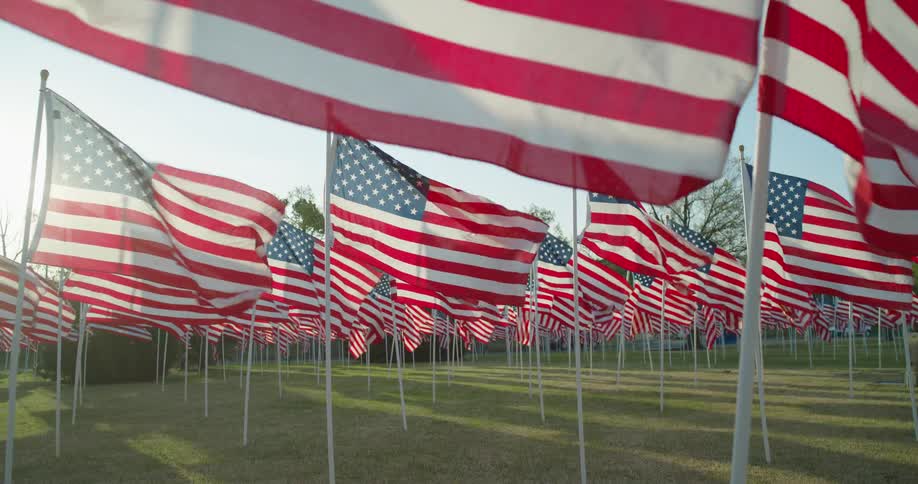 A grassy field with American flags waving in the wind with trees the sky and clouds in the background