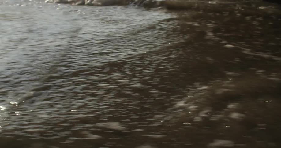 Waves crash then pull away on the sand