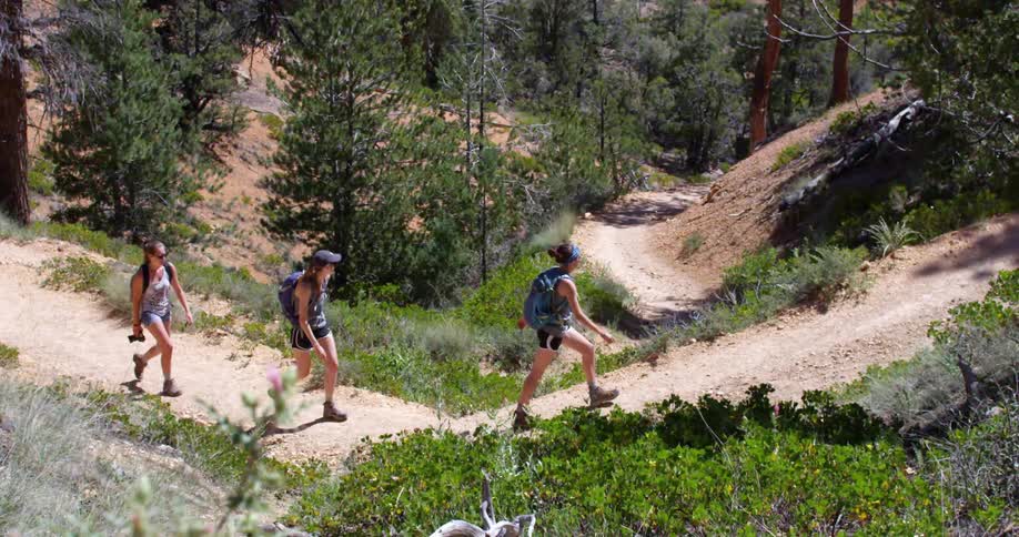 Three women are hiking along a small trail