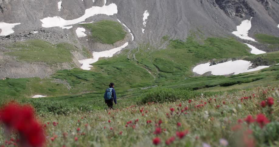 Man with backpack walks in field