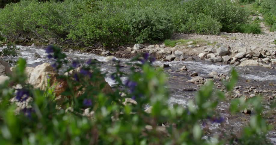 A stream is running over rocks in the wilderness