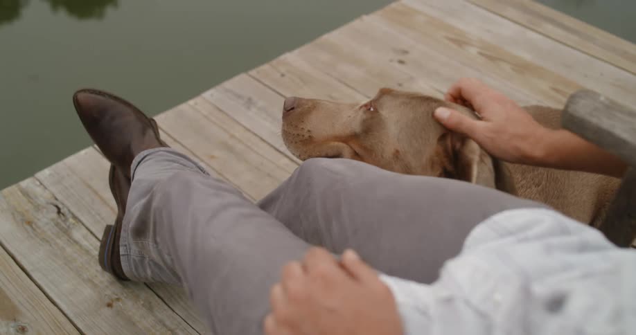 A person sitting on a chair on a dock petting a dog with a body of water in the background
