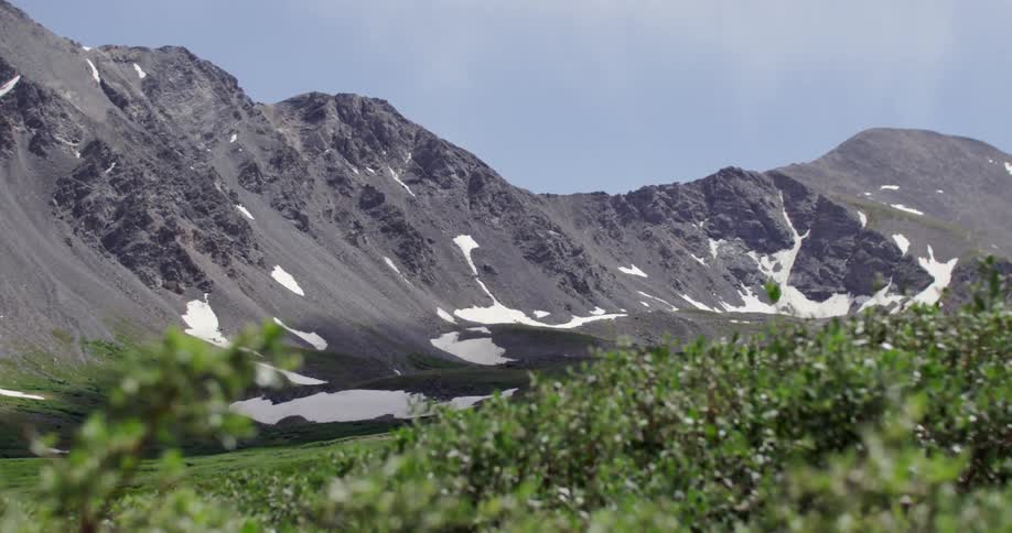 A breeze blows through a field by a mountain