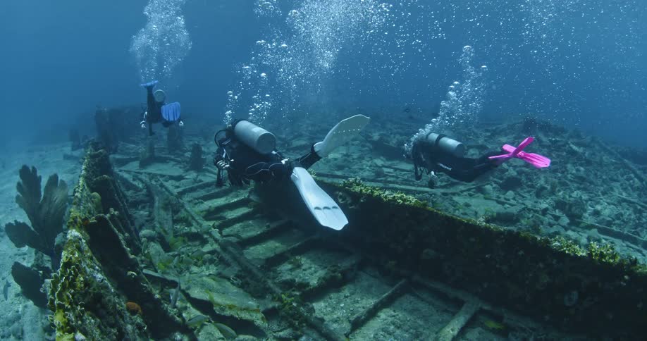 A group of divers is swimming over an old wreck on the ocean's floor