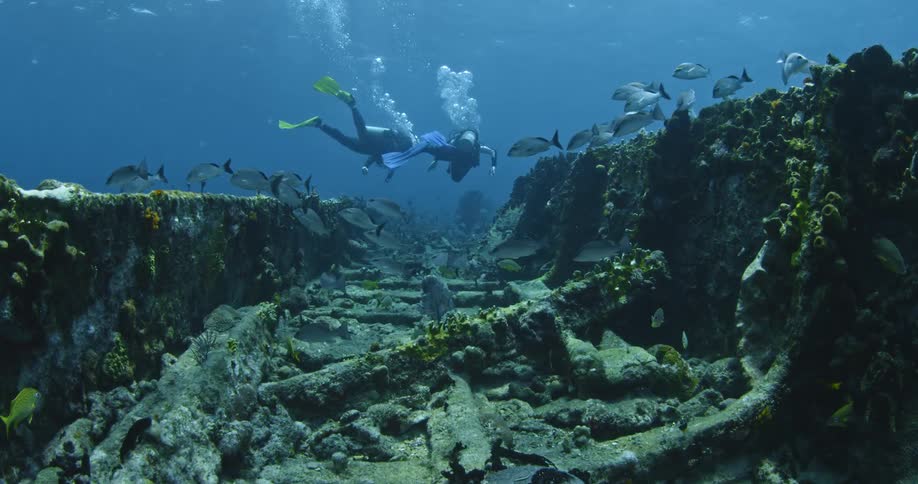 Two divers swim along the bottom of a narrow channel while fish swim around them