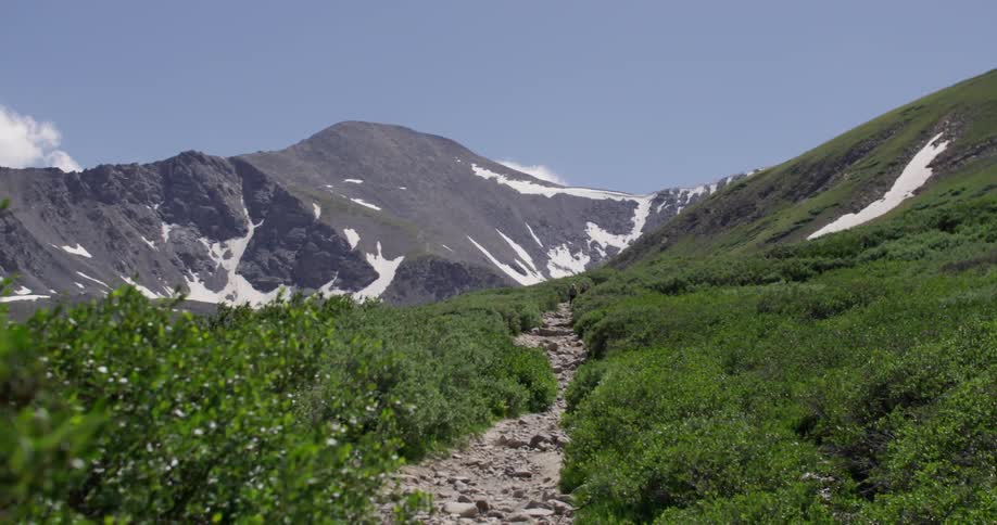 Rocky trail through a grassy wilderness