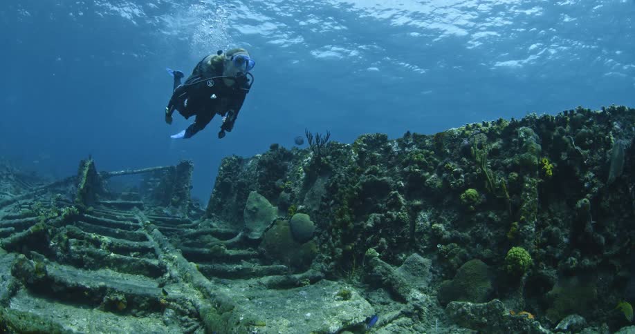 Two people are scuba diving in the water by seaweed and rocks