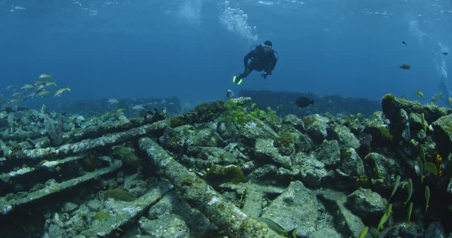 A diver swims near the floor of the ocean