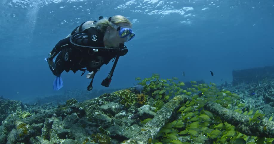 A scuba diver swims at the bottom of the ocean