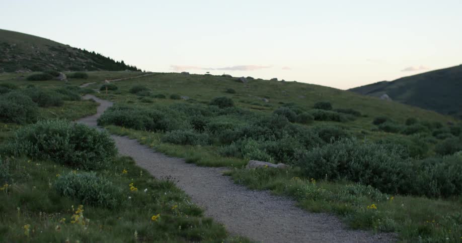 A walking path through the green hillside