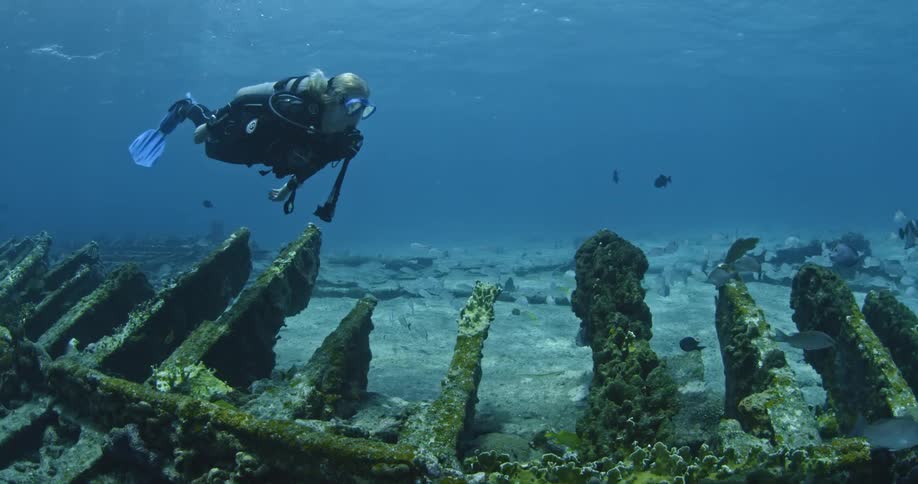 Diver swimming near wreckage on ocean floor