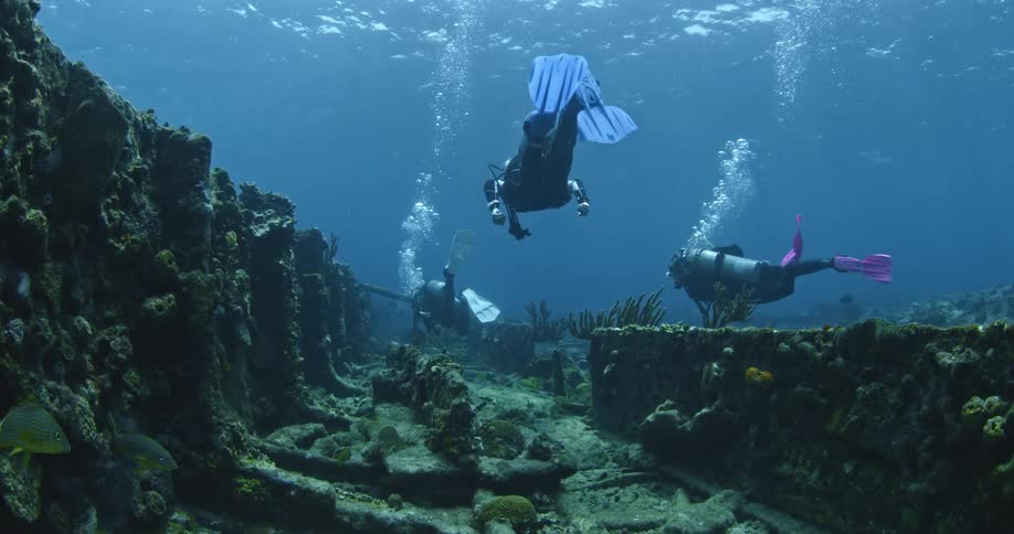 Scuba divers swimming near the bottom of the sea