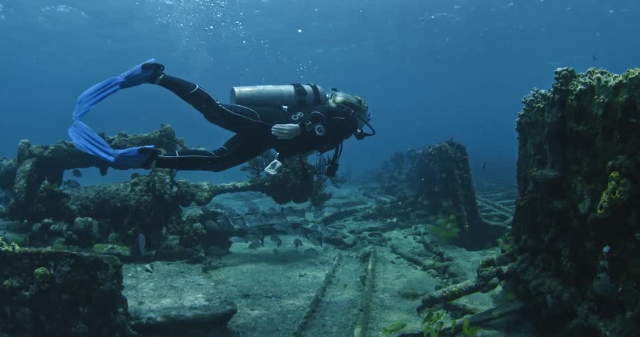 Scuba diver exploring the bottom of the sea