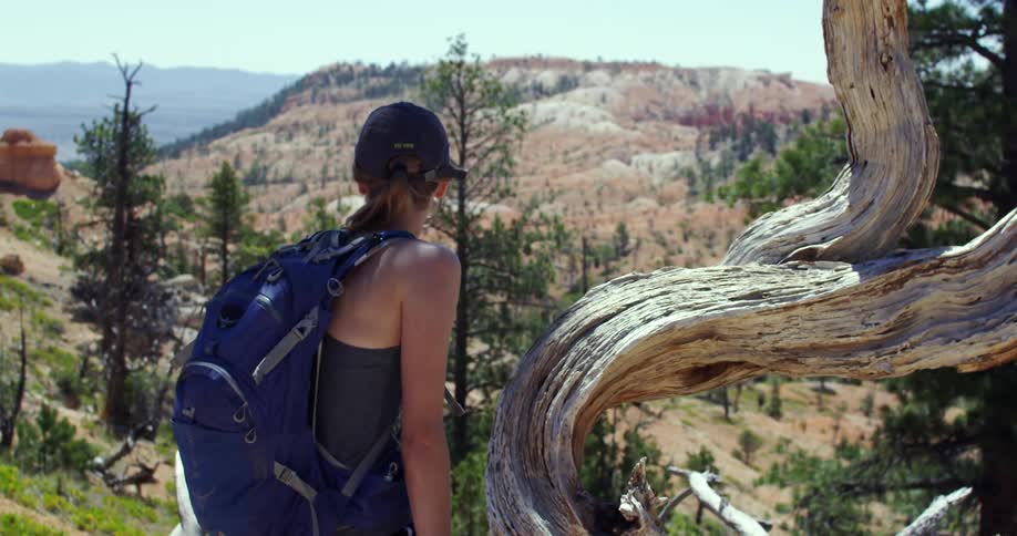 A woman stands on a hill looking below