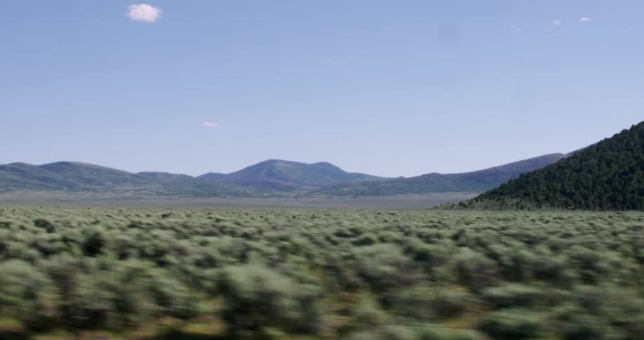 Moving fast past a field with many bushes