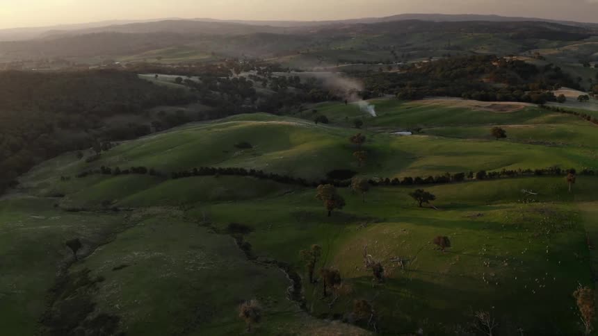 Vapor rises from ground in grass covered hilly terrain bordered by clumps of forest