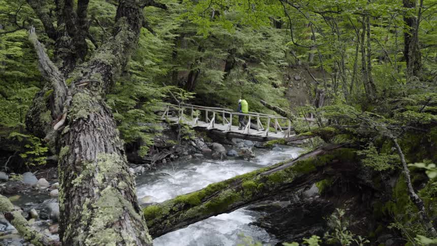 A person wearing a backpack walks across a bridge over a running stream in the woods
