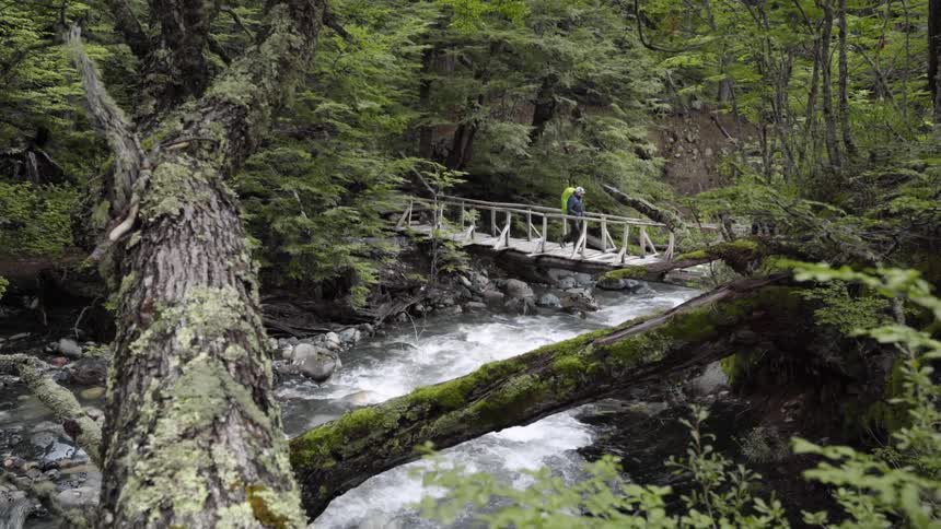 A person walks across a bridge over a river in a forest