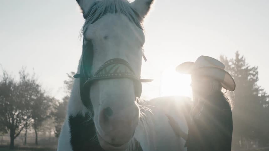Woman wearing a cowboy hat caressing a horse in a ranch at sunset