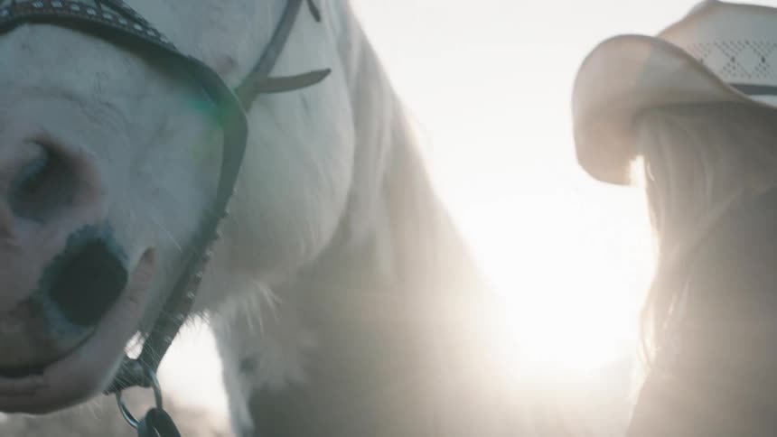 A woman with a hat standing next to a horse and petting it with trees the sky and clouds in the background