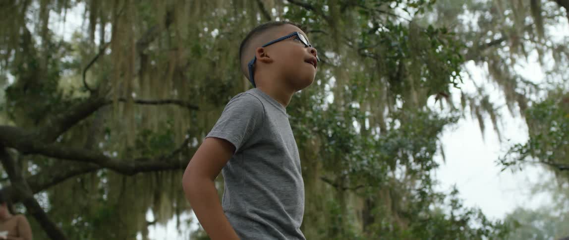 A young boy stands and looks around a forest