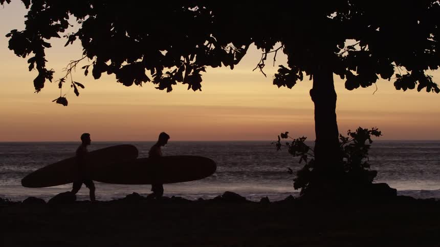 Tree leaves blowing in the wind as two surfers carry surfboards with rough waves splashing behind them