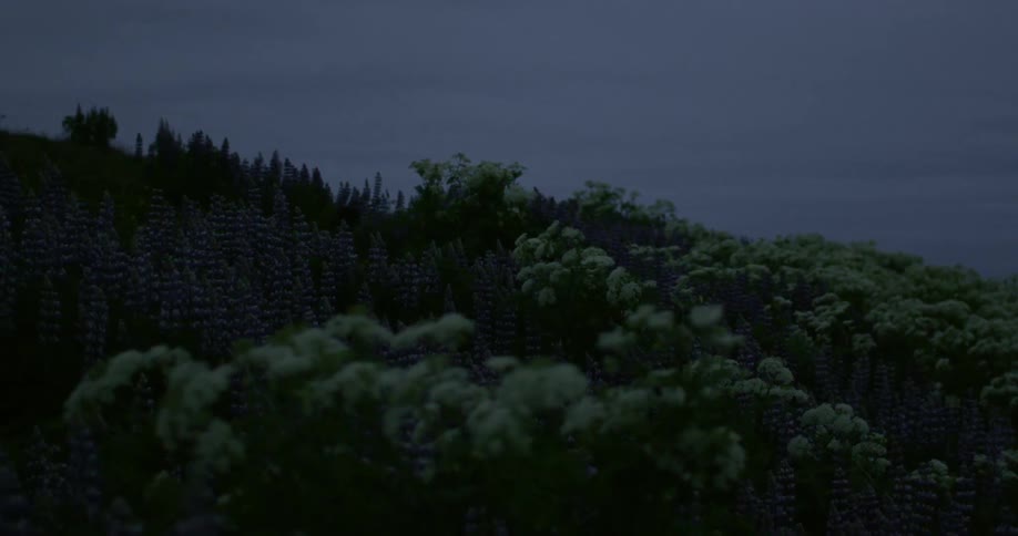 Iceland