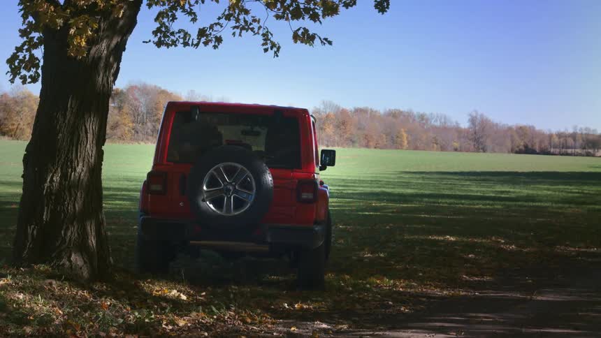 A jeep is parked outdoors by a tree in spring