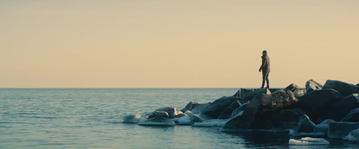A man is standing on land next to an ocean