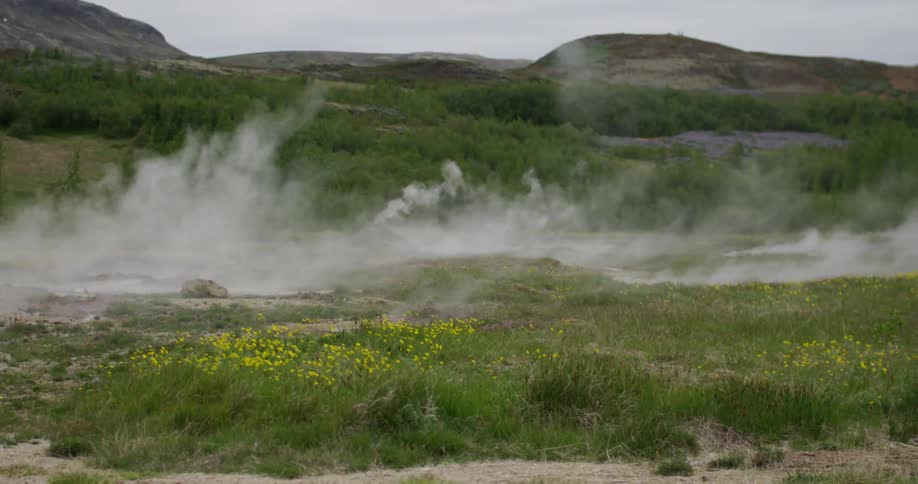 In a grassy meadow, dust or steam is blowing in the wind