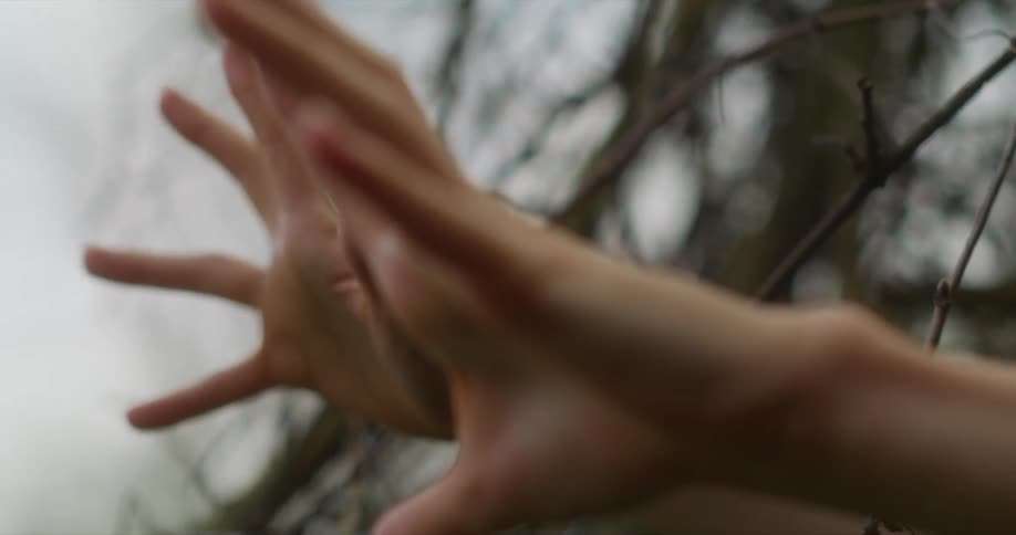 A person reaching their hands through bare tree branches outside