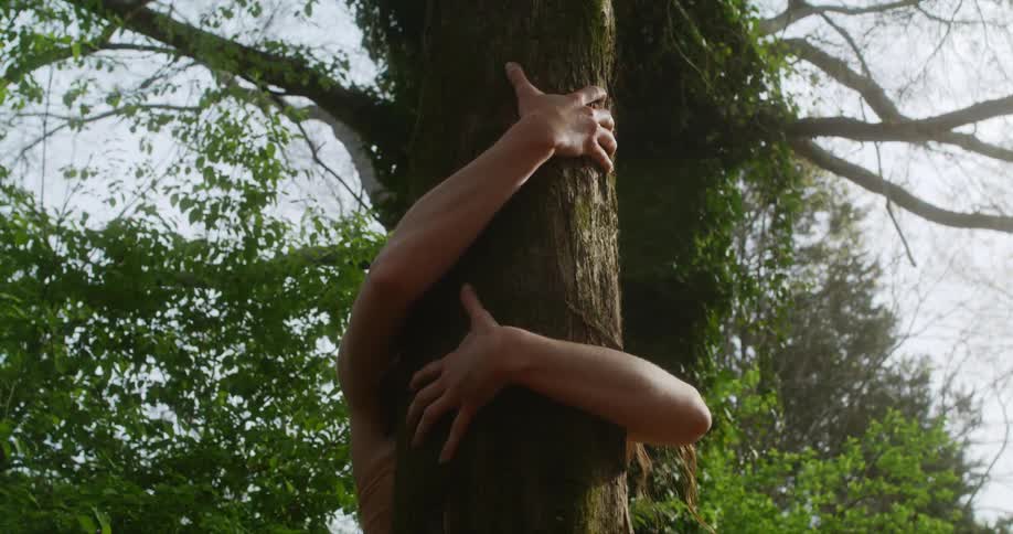 Person holds the tree trunk in the forest