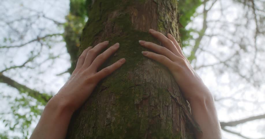 A woman hugging a tree with the sky and clouds in the background
