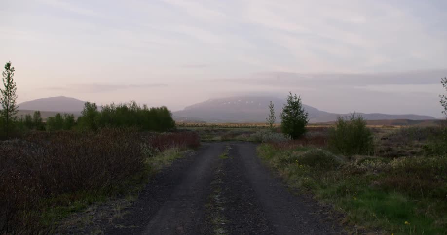 A small dirt road is surrounded by grass and bushes