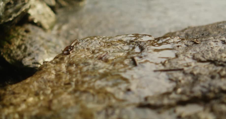 Water droplets falling on a rock and flowing downwards